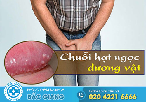 chuoi-hat-ngoc-o-duong-vat-la-gi